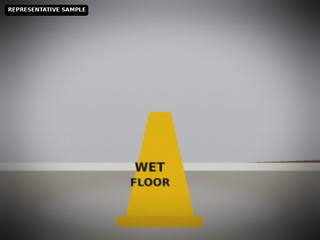 Representative sample: wet floor cone